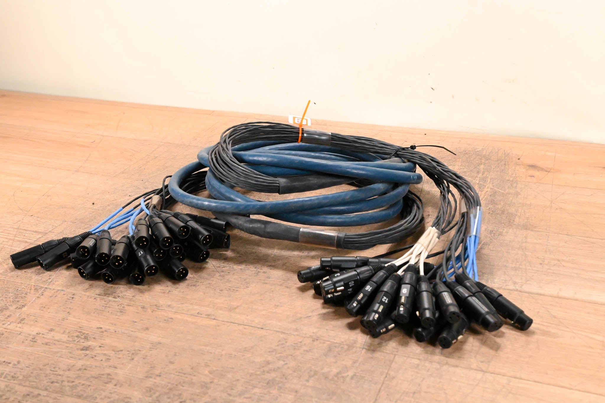 Whirlwind 24-Channel XLR Snake - 20 ft
