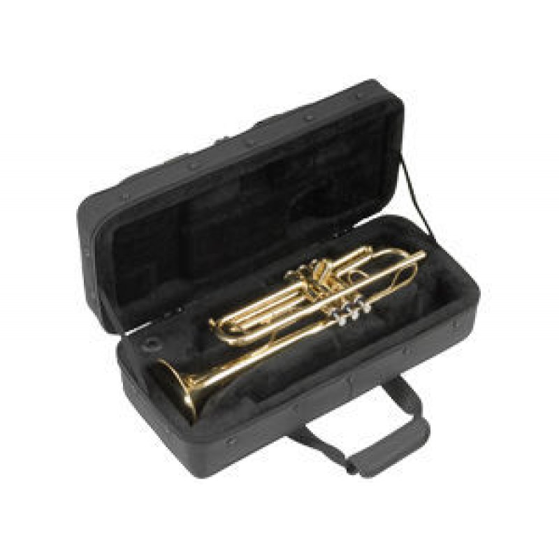 SKB 1SKB-SC330
