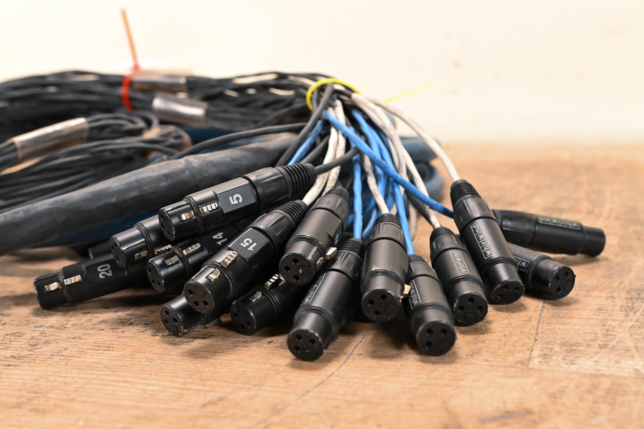 Whirlwind 24-Channel XLR Snake - 20 ft