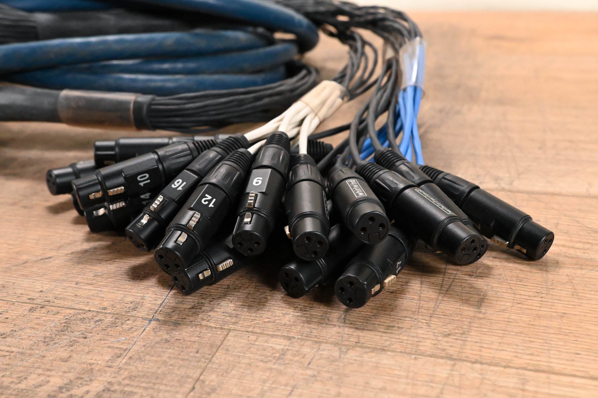 Whirlwind 24-Channel XLR Snake - 20 ft