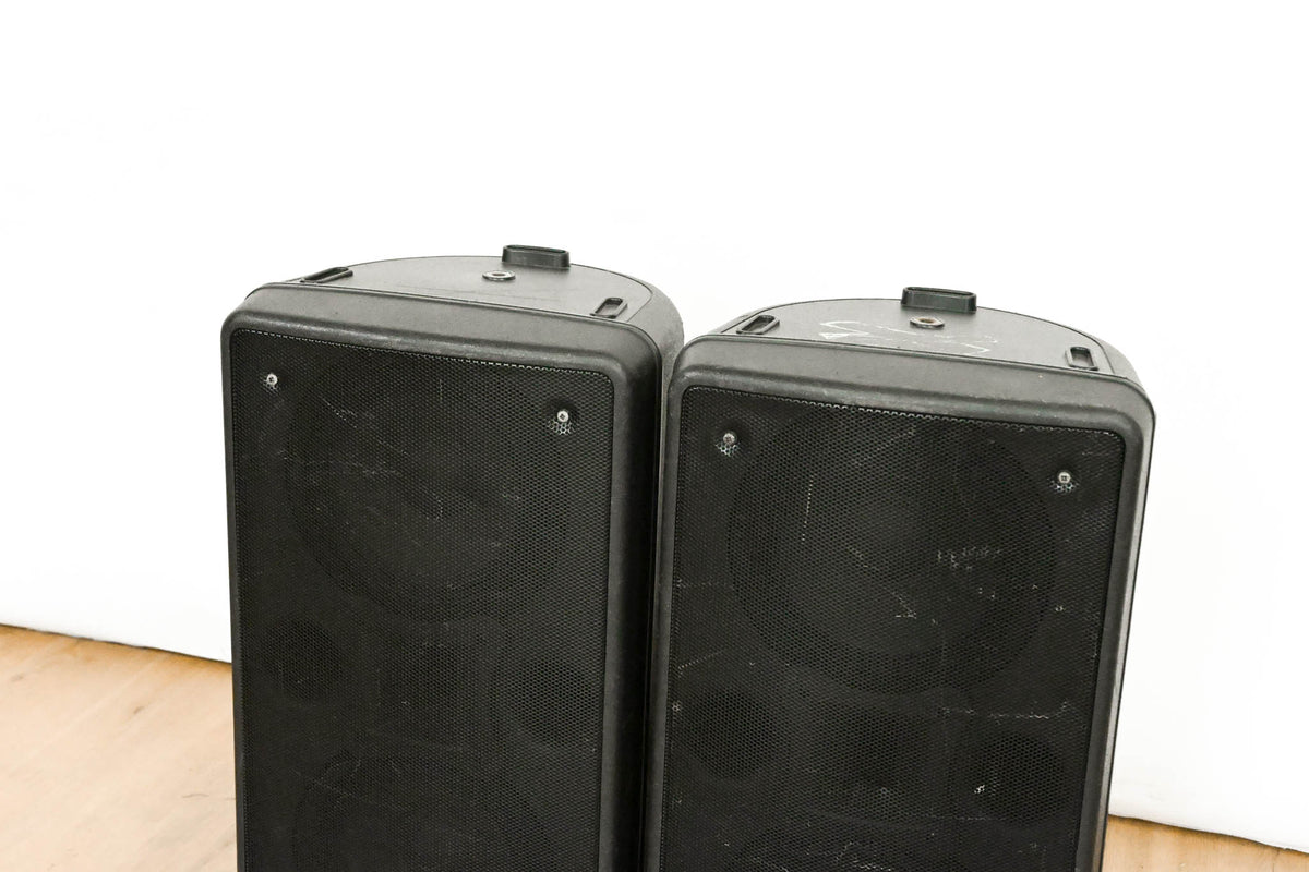 dBTechnologies Twin 128 Active 2-Way Stage Monitor (PAIR)