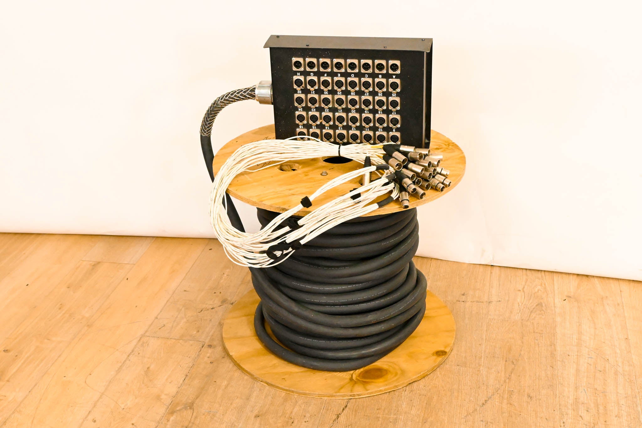 Unbranded 32x8 XLR Stage Snake - 150ft
