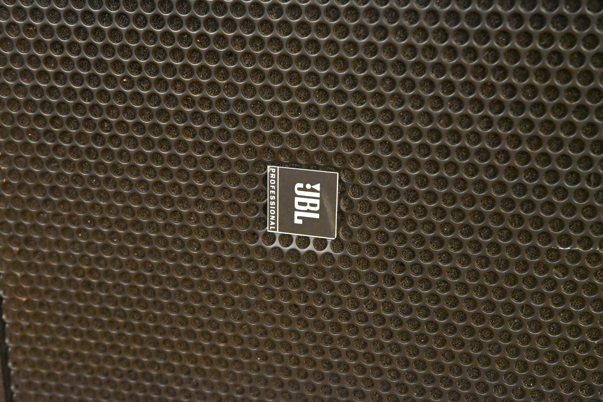 JBL TTM129 Ultra-Compact Passive Stage Monitor