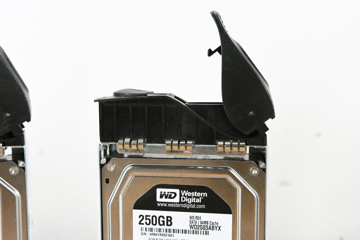 Western Digital WD2503ABYX 250 GB 3.5" Hard Drive w/ Trays (PACK OF 3)