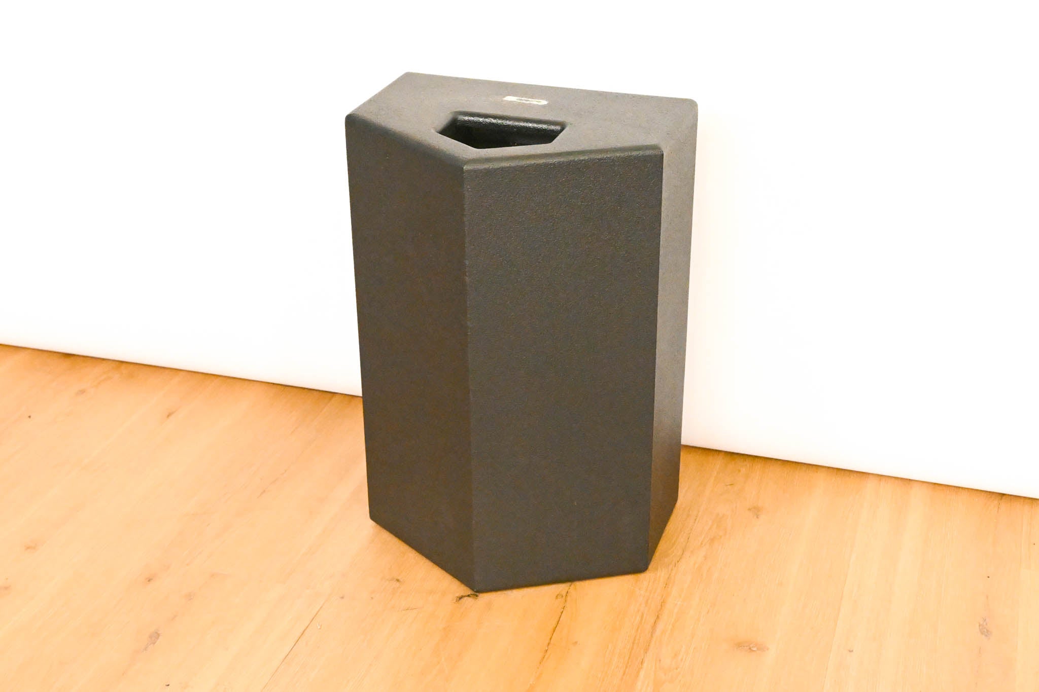 JBL TTM129 Ultra-Compact Passive Stage Monitor