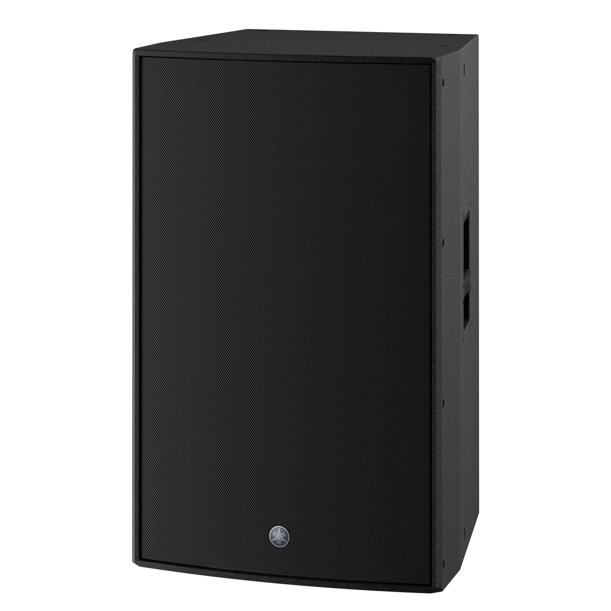 Powered full-range loudspeaker 75 x 50 black finish