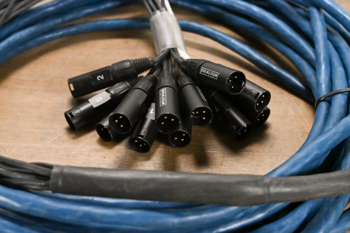 Whirlwind Medusa Mini 12 12-channel Low-Profile XLR Drop Snake - 50 ft