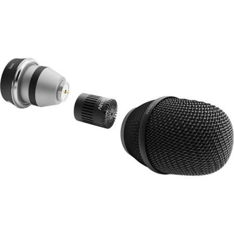 DPA 4018V-B-WI2