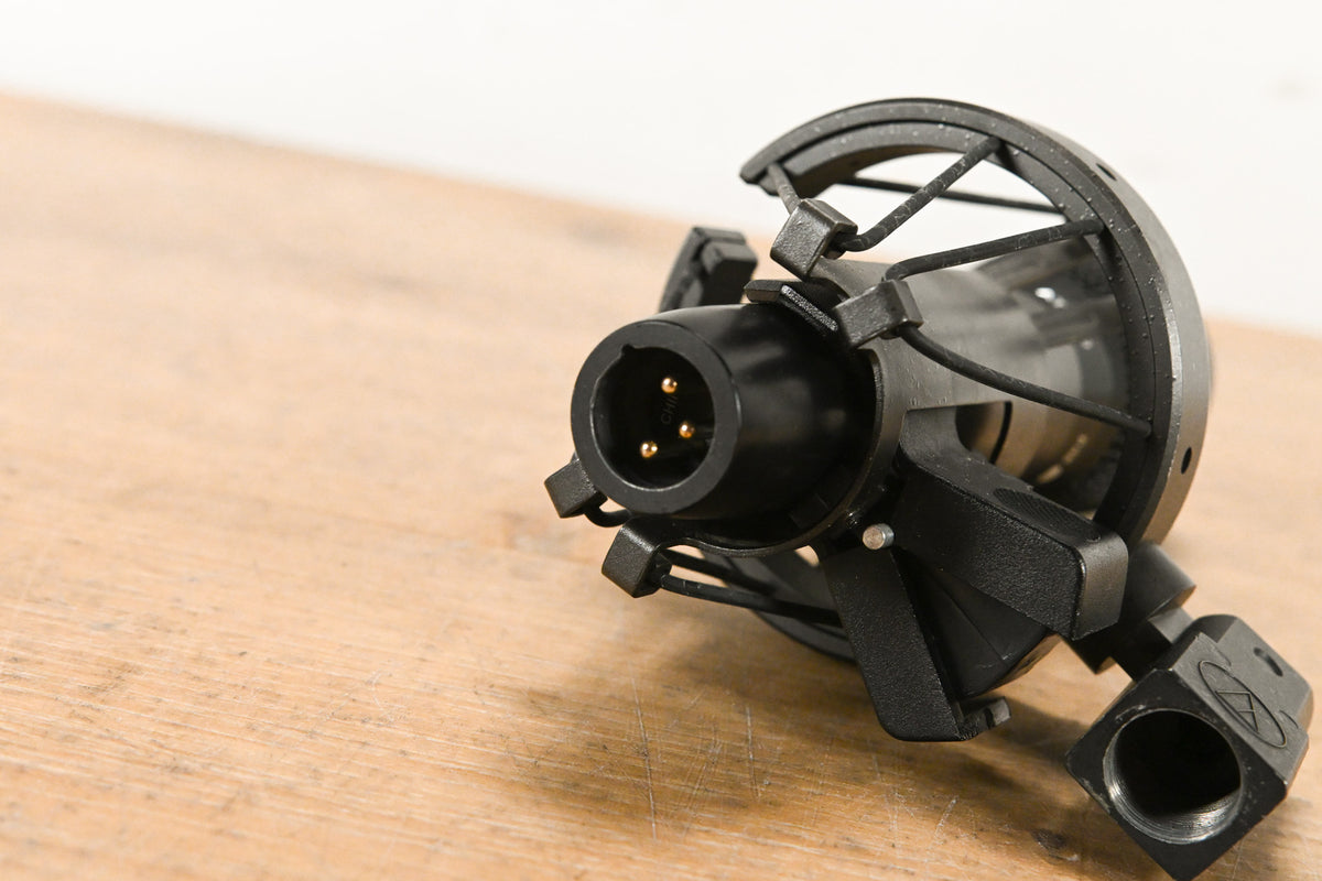 Audio-Technica AT2010 Cardioid Condenser Handheld Microphone