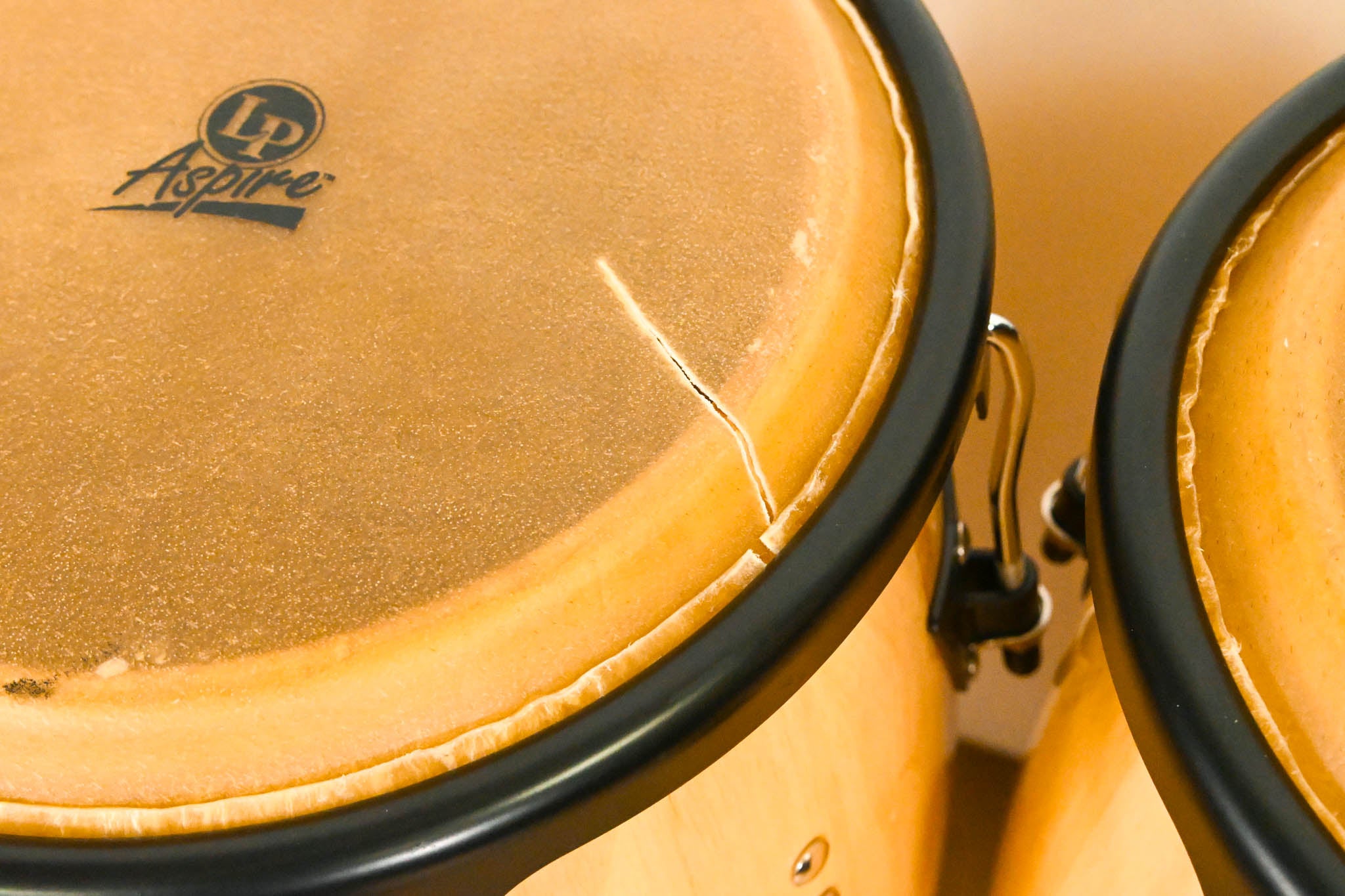 LP Aspire 10" and 11" Conga Set