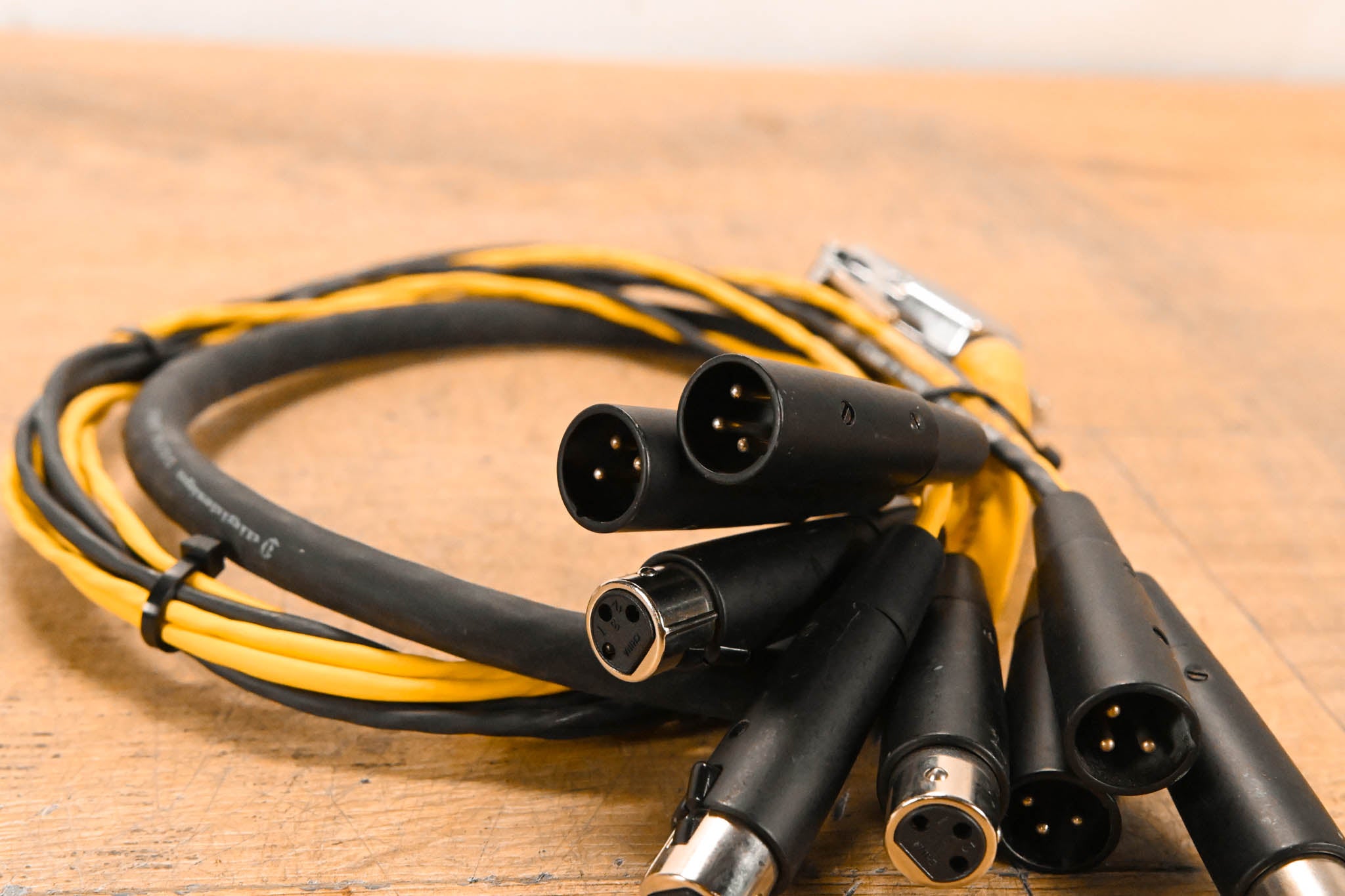 AVID DB25 to (4x)XLRM and (4x)XLRF DigiSnake - 3ft