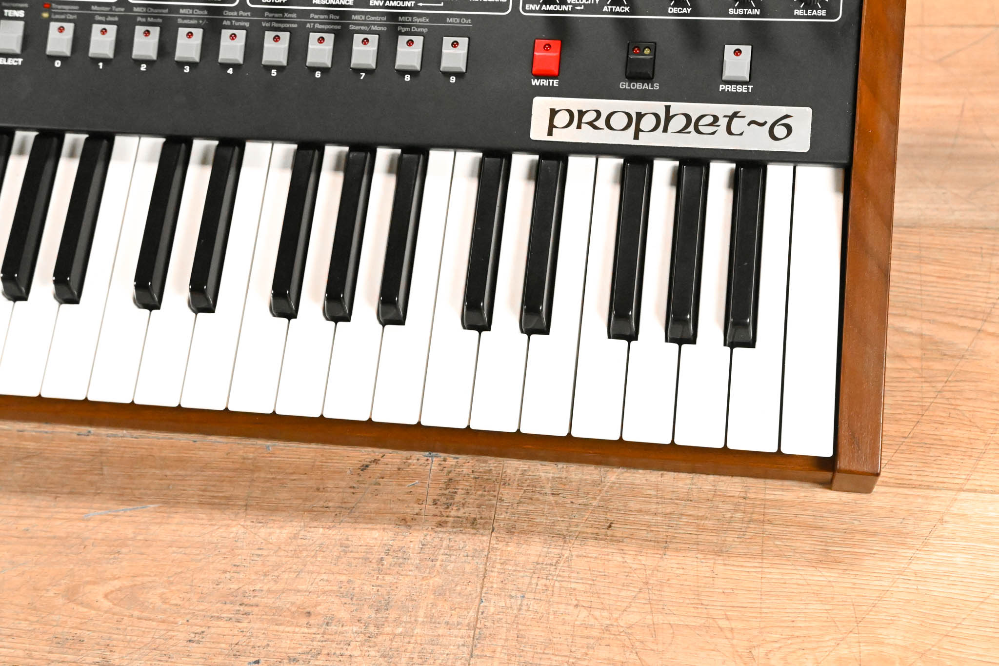 Sequential Prophet-6 49-Key, 6-Voice Analog Synthesizer