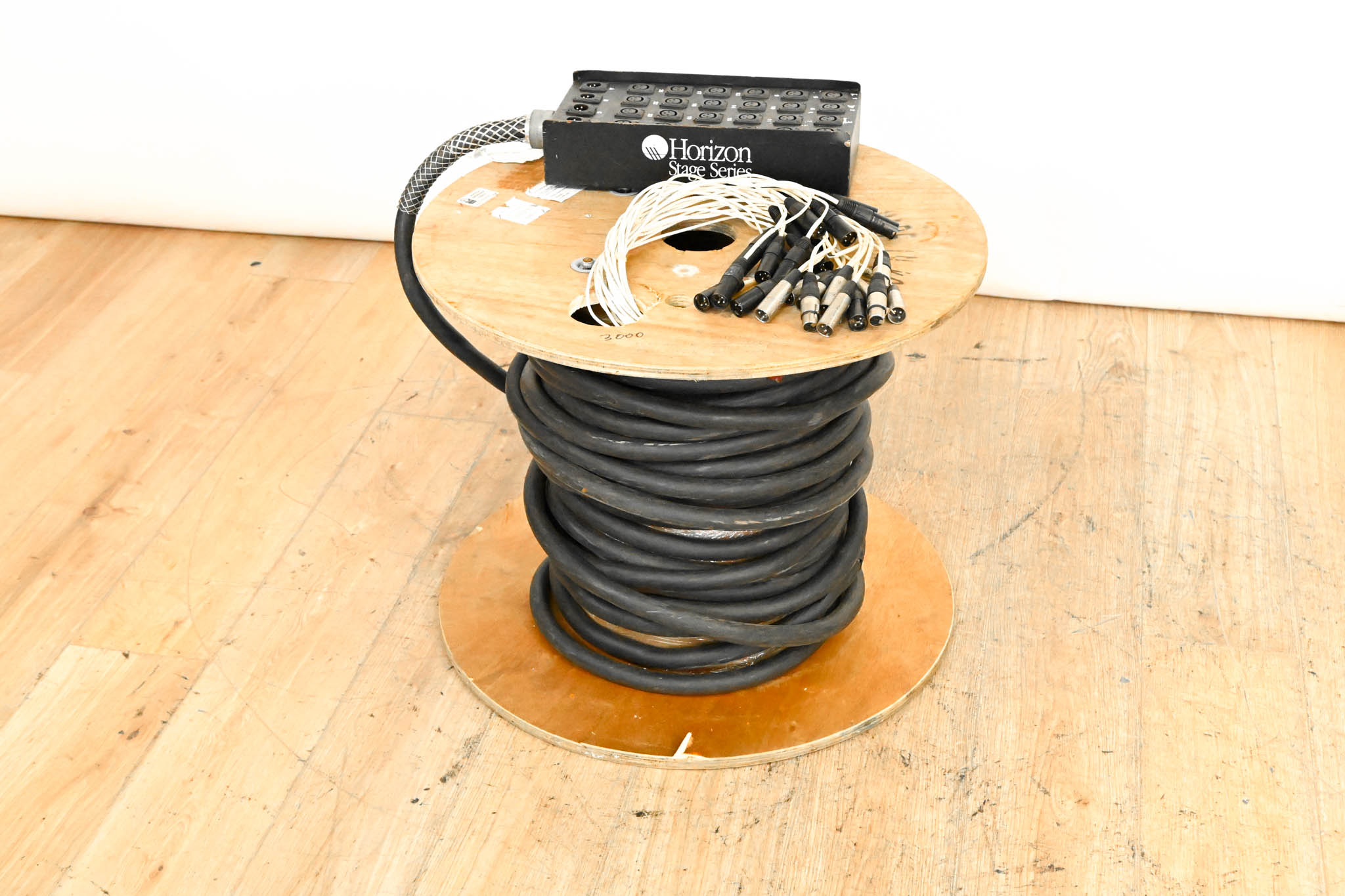 Horizon Stage Series 24x4 XLR Stage Snake - 100 ft