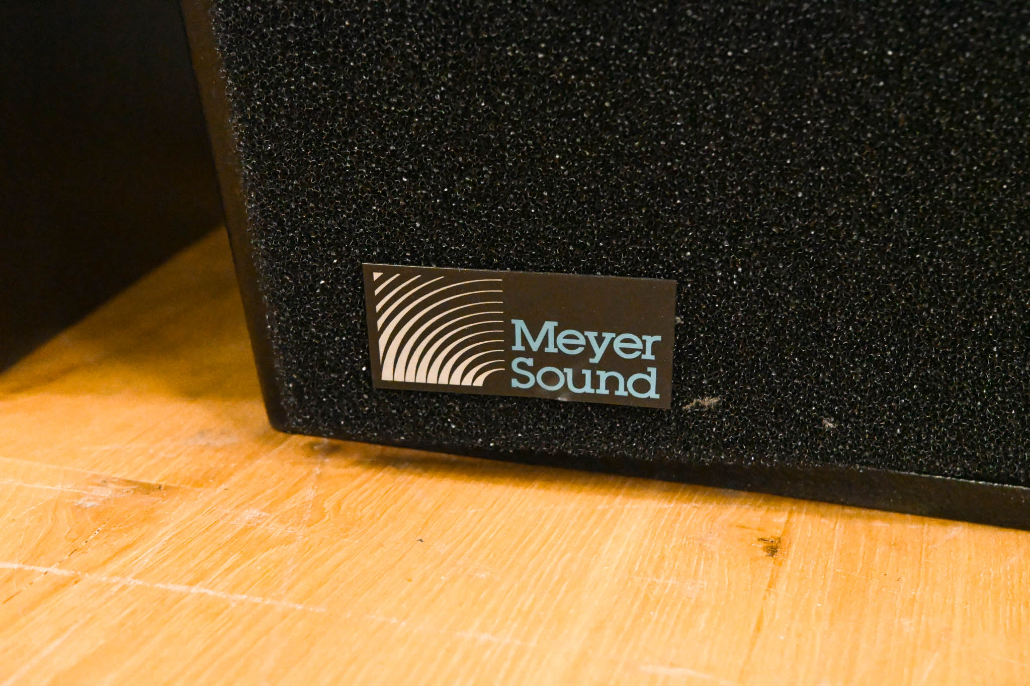 Meyer Sound DF-4 Medium-Throw Down Fill Self-Powered Loudspeaker (PAIR)