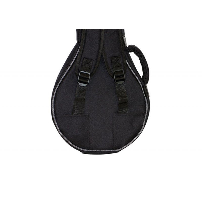 Mandolin Bag