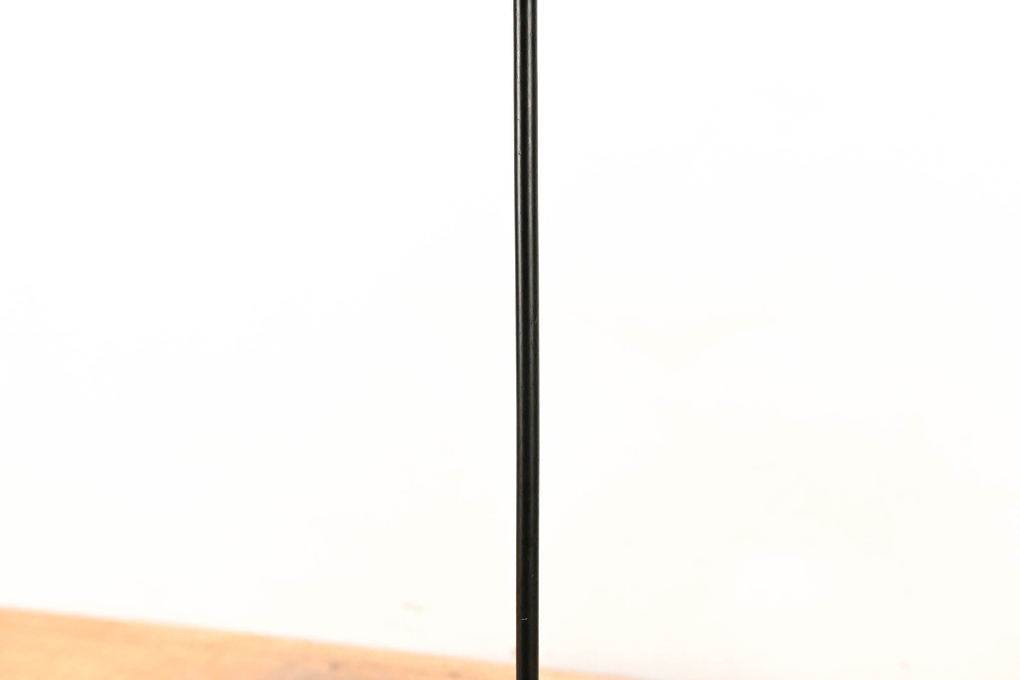 Electro-Voice (EV) PolarChoice PC Plus 18" Podium Gooseneck Microphone