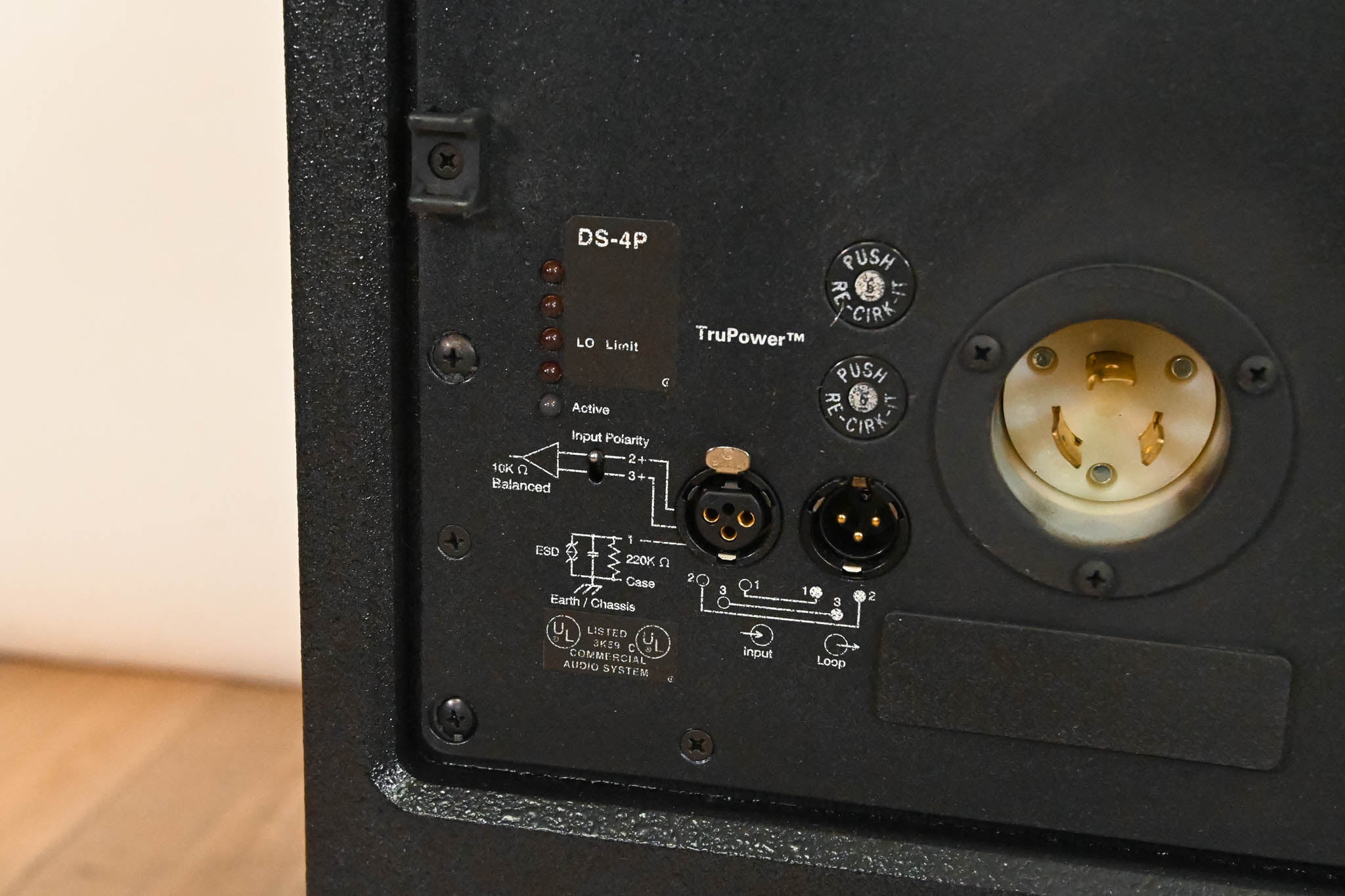 Meyer Sound DS-4P Self-Powered Mid-Bass Reinforcement Loudspeaker