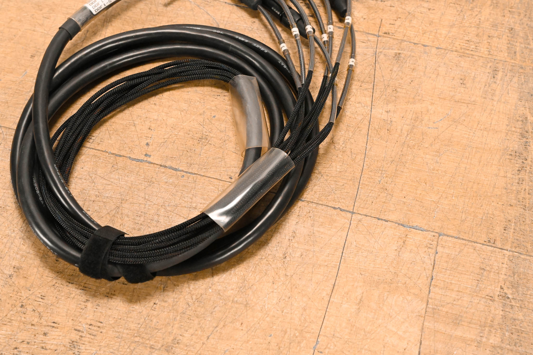 Whirlwind DBF1-S-010 10' Snake Cable with 8 TRSM to DB25-M