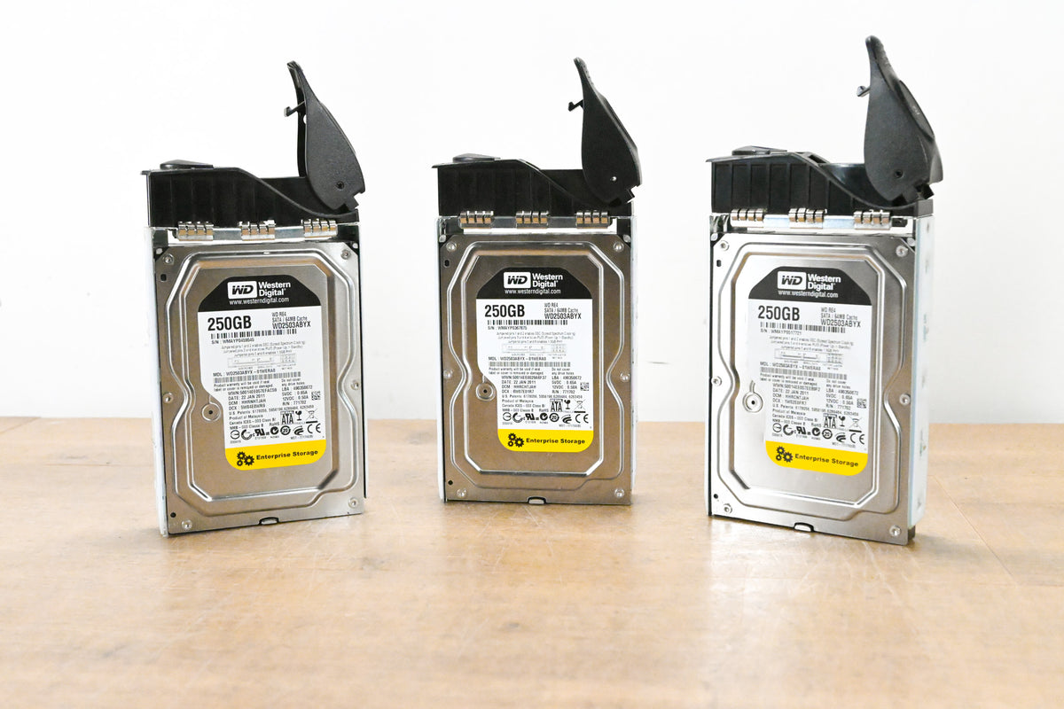 Western Digital WD2503ABYX 250 GB 3.5" Hard Drive w/ Trays (PACK OF 3)