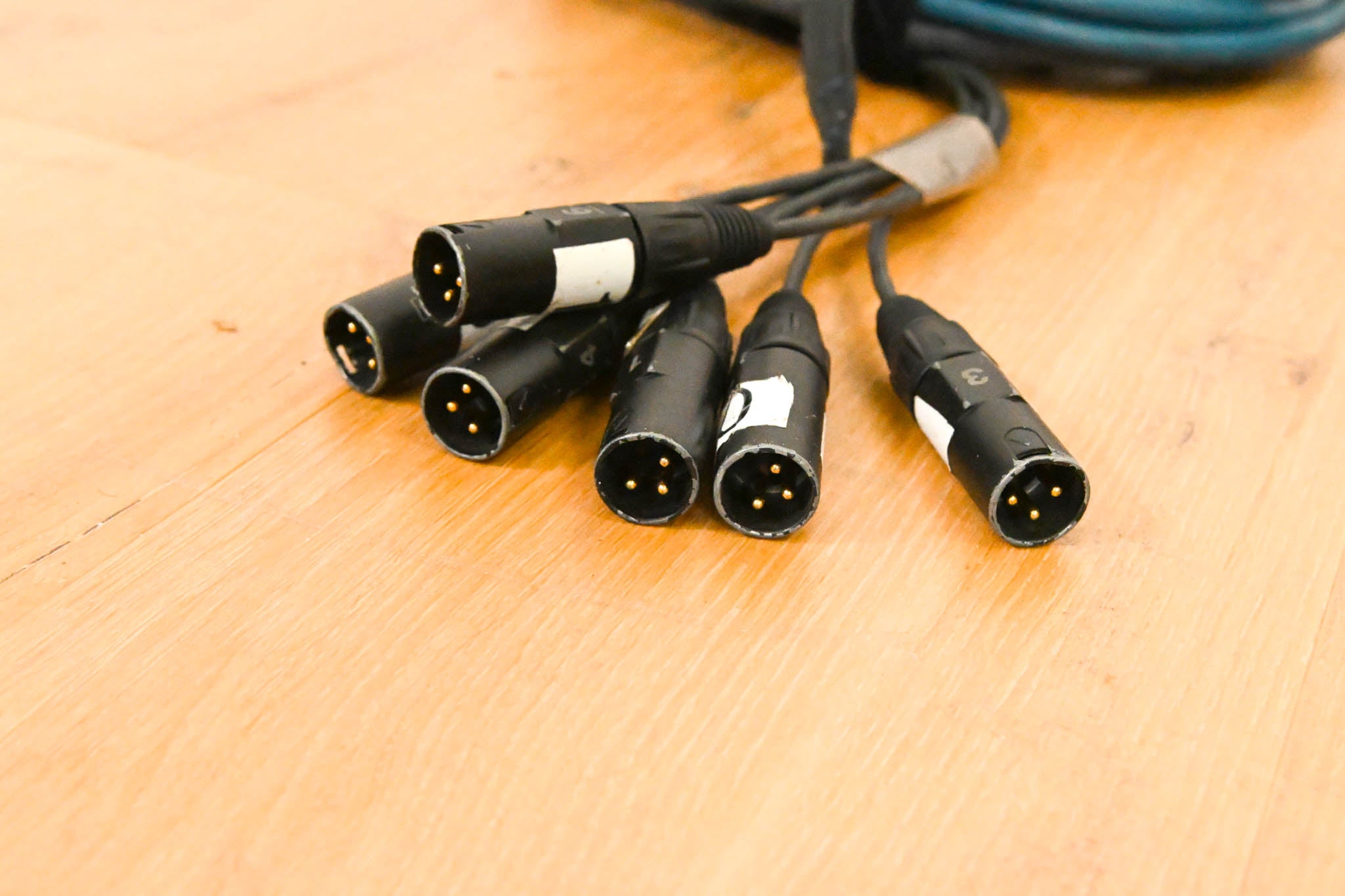 Whirlwind MS-6-M-NR-025 Mini 6 6-Channel Low-Profile Drop Snake - 25 ft