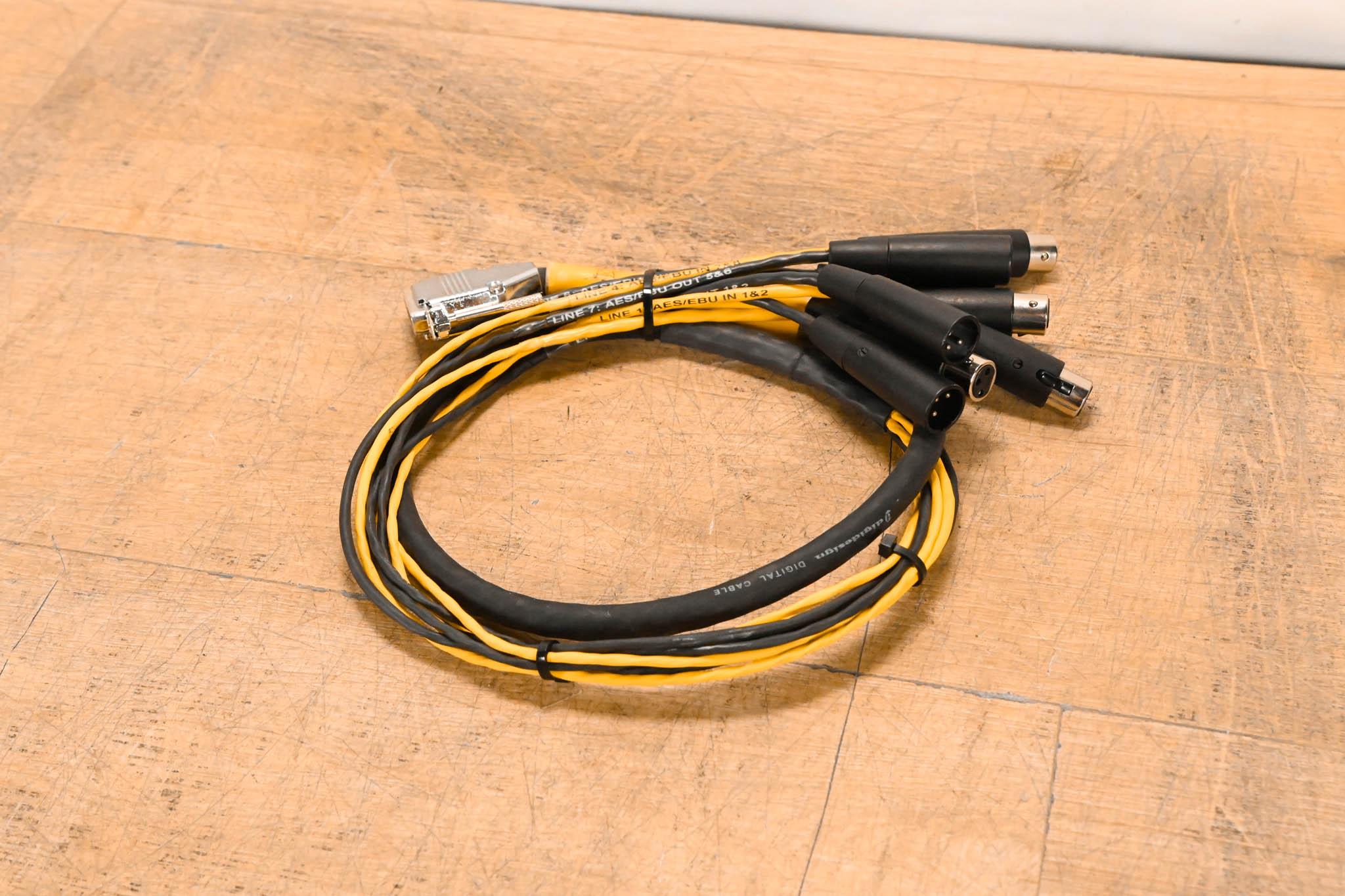 AVID DB25 to (4x)XLRM and (4x)XLRF DigiSnake - 3ft