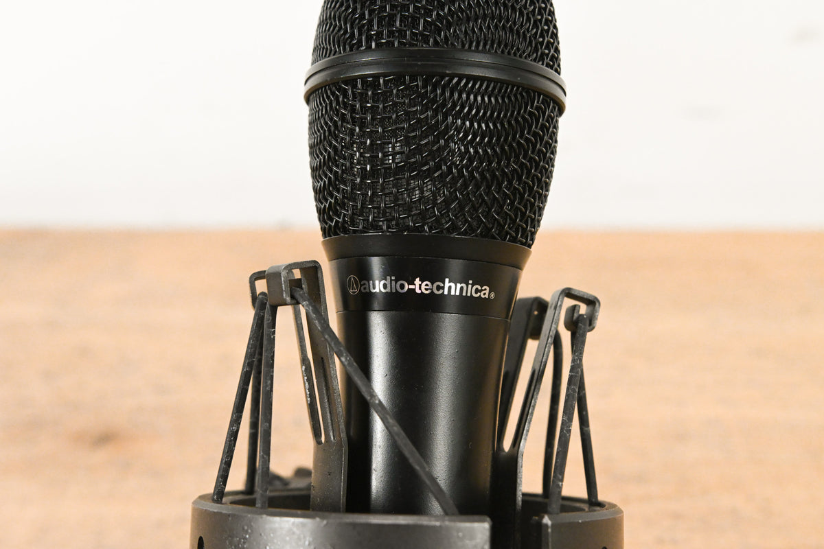 Audio-Technica AT2010 Cardioid Condenser Handheld Microphone