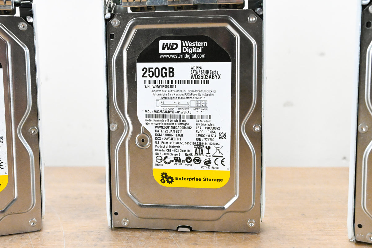Western Digital WD2503ABYX 250 GB 3.5" Hard Drive w/ Trays (PACK OF 3)