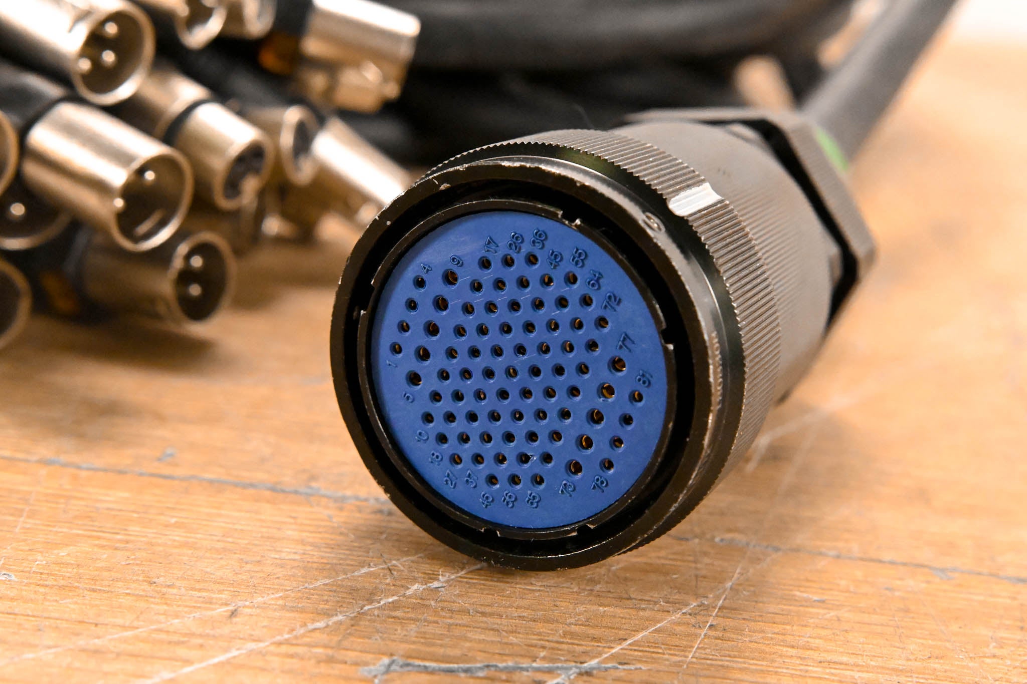 Seismic Audio 16x8 Multipin to XLR Stage Snake Cable - 50'