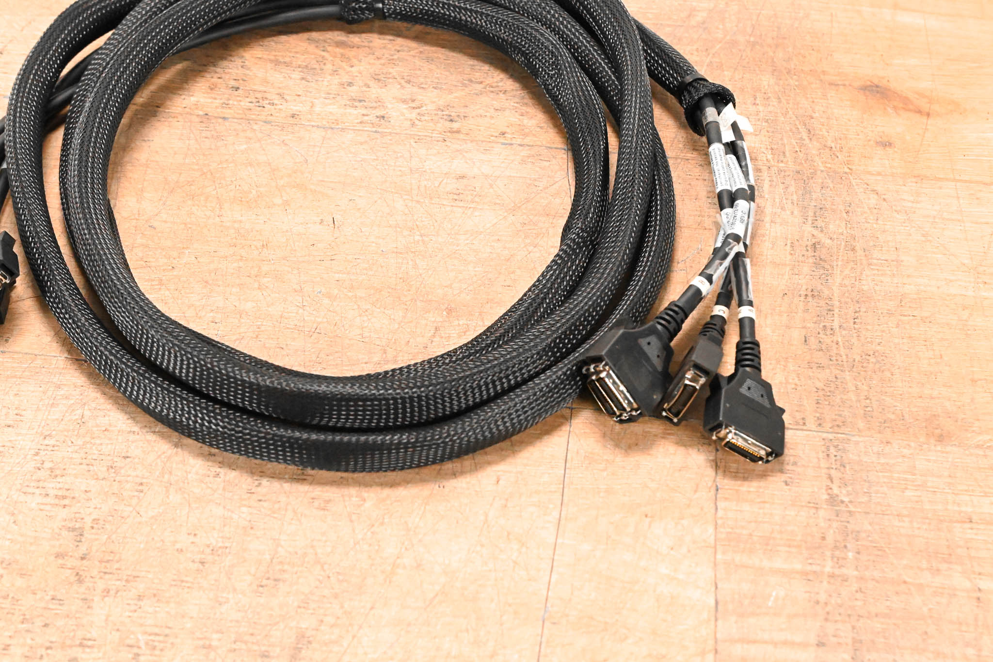 AVID DigiLink four Cable Loom - 12 ft / 3.6 m