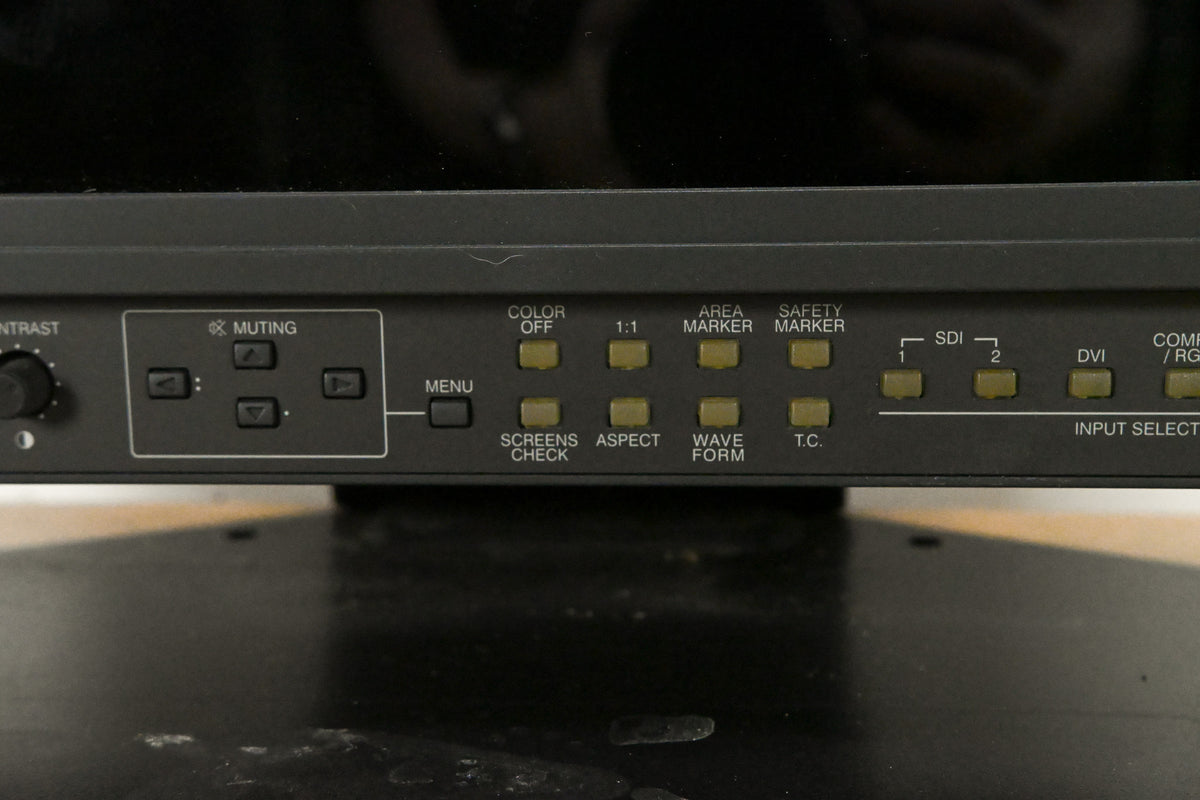 JVC DT-V20L3D 20-inch HD Multi-Format LCD Studio Monitor