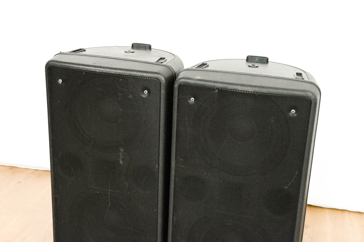 dBTechnologies Twin 128 Active 2-Way Stage Monitor (PAIR)