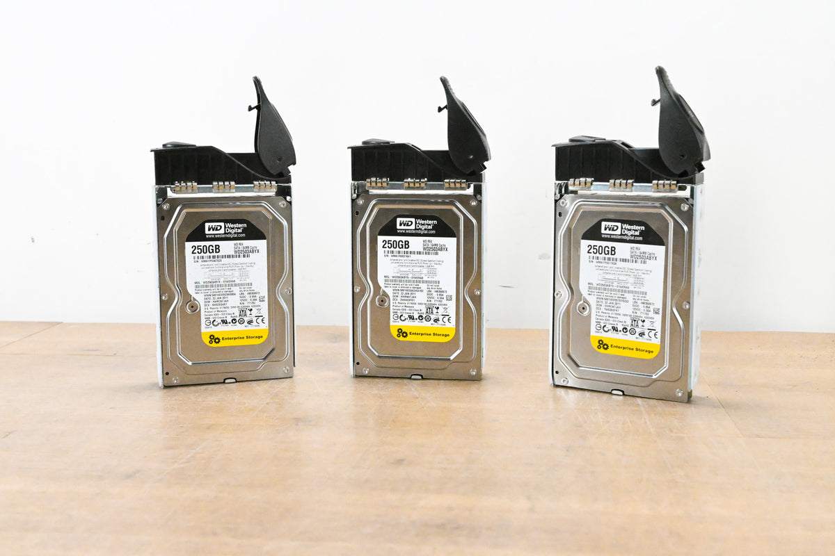Western Digital WD2503ABYX 250 GB 3.5" Hard Drive w/ Trays (PACK OF 3)