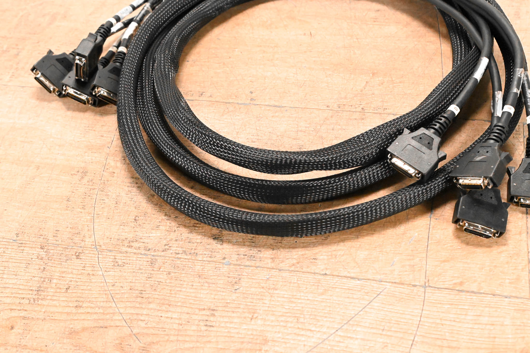 AVID DigiLink four Cable Loom - 12 ft / 3.6 m