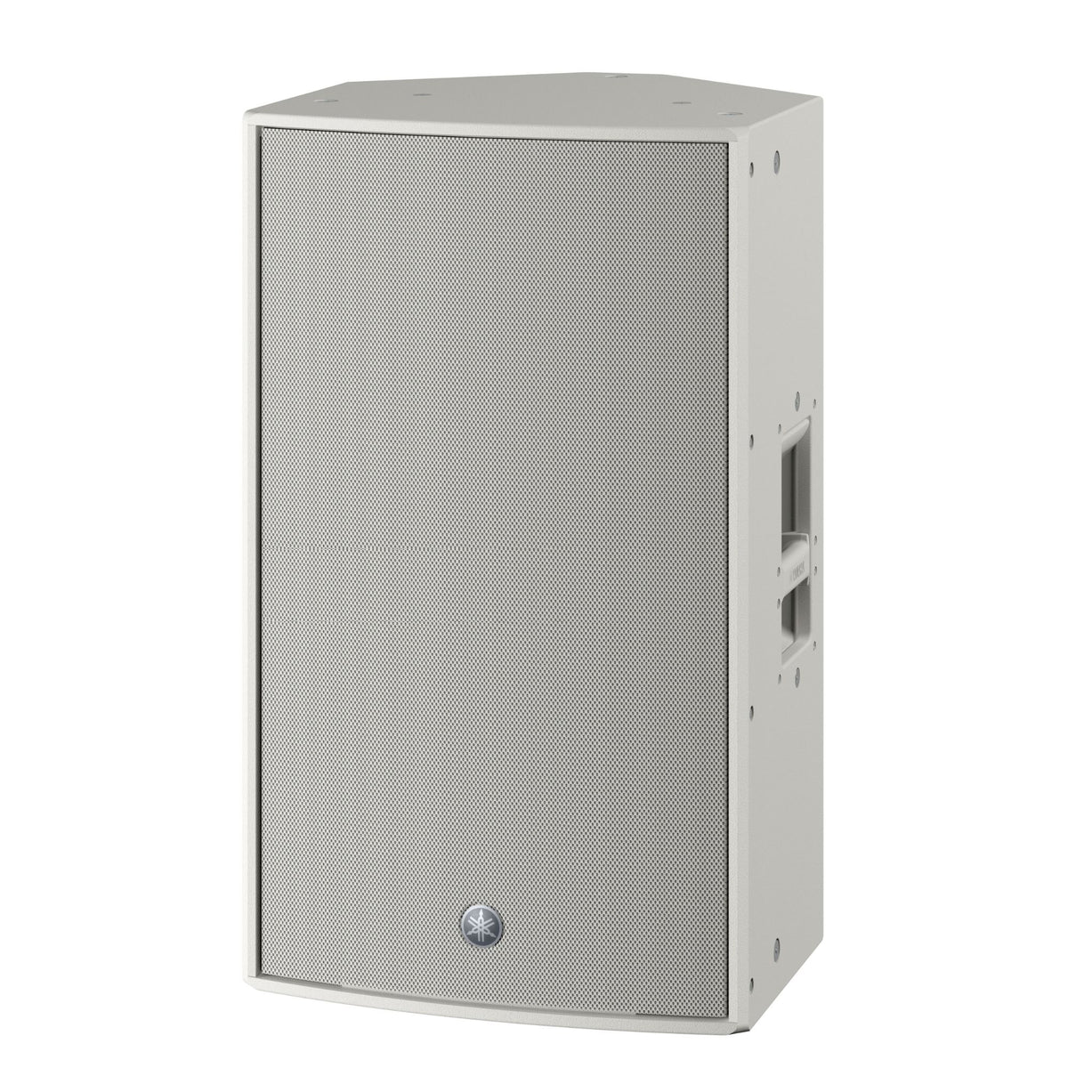 Full-range loudspeaker 90 x 50 (rotatable) white finish