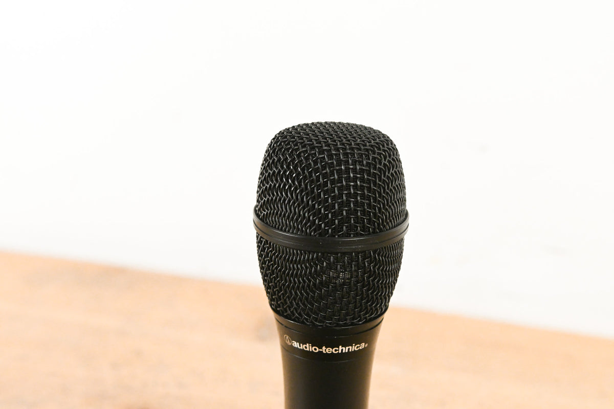 Audio-Technica AT2010 Cardioid Condenser Handheld Microphone