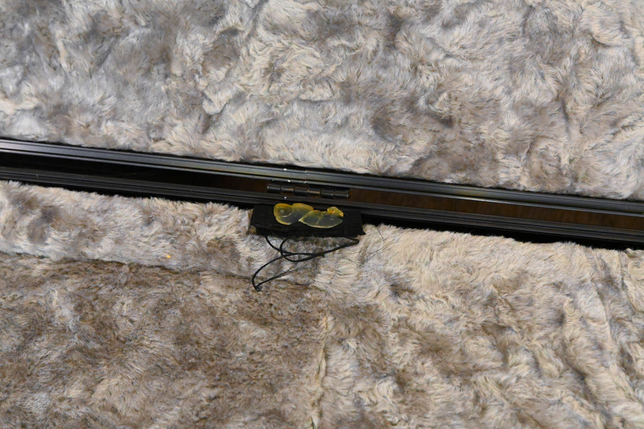 Fender Deluxe Molded Bass Case - Black