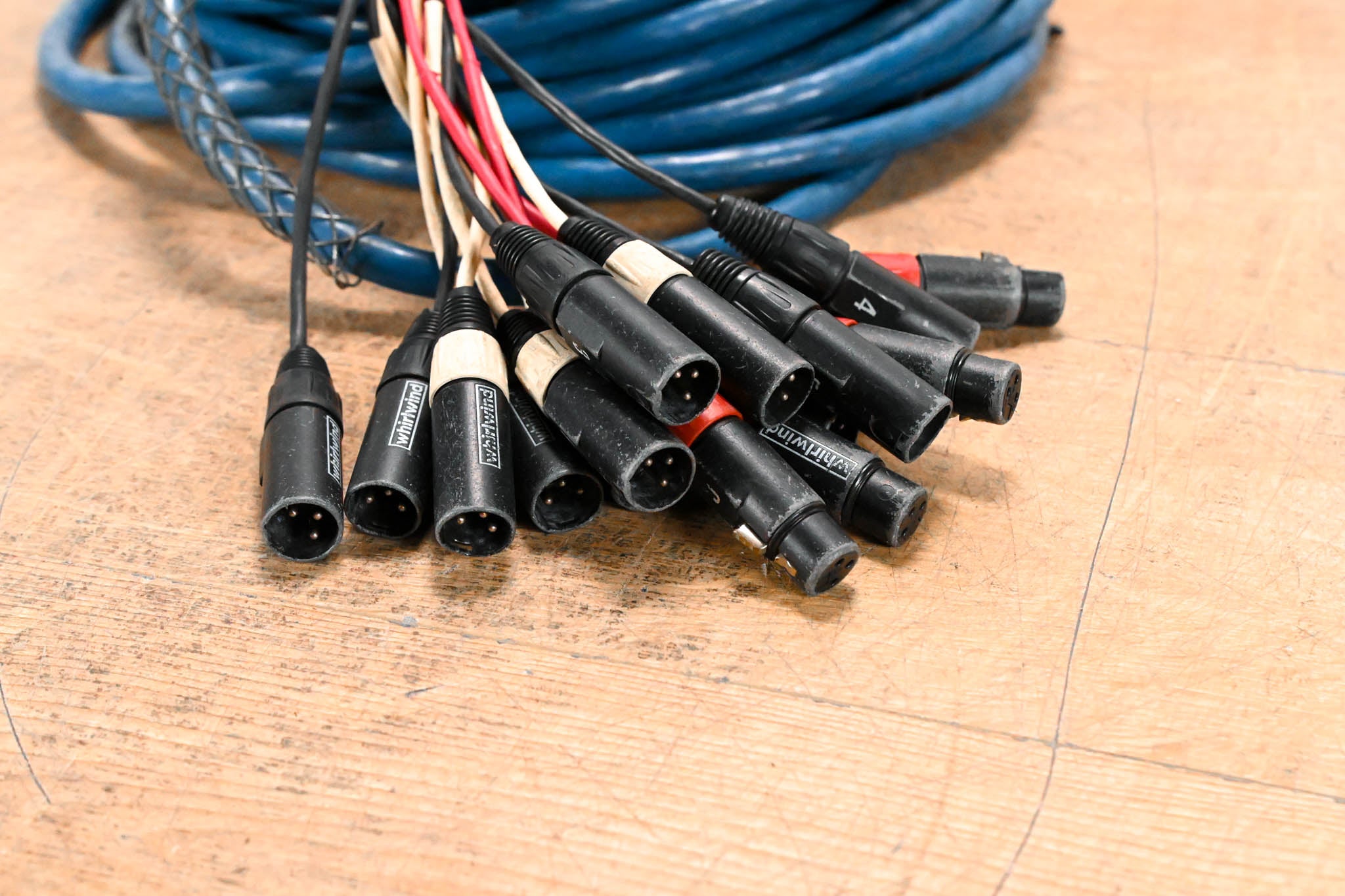 Whirlwind MS-12-4-XL-050 Medusa 12-Channel, 4-Return Snake - 50'
