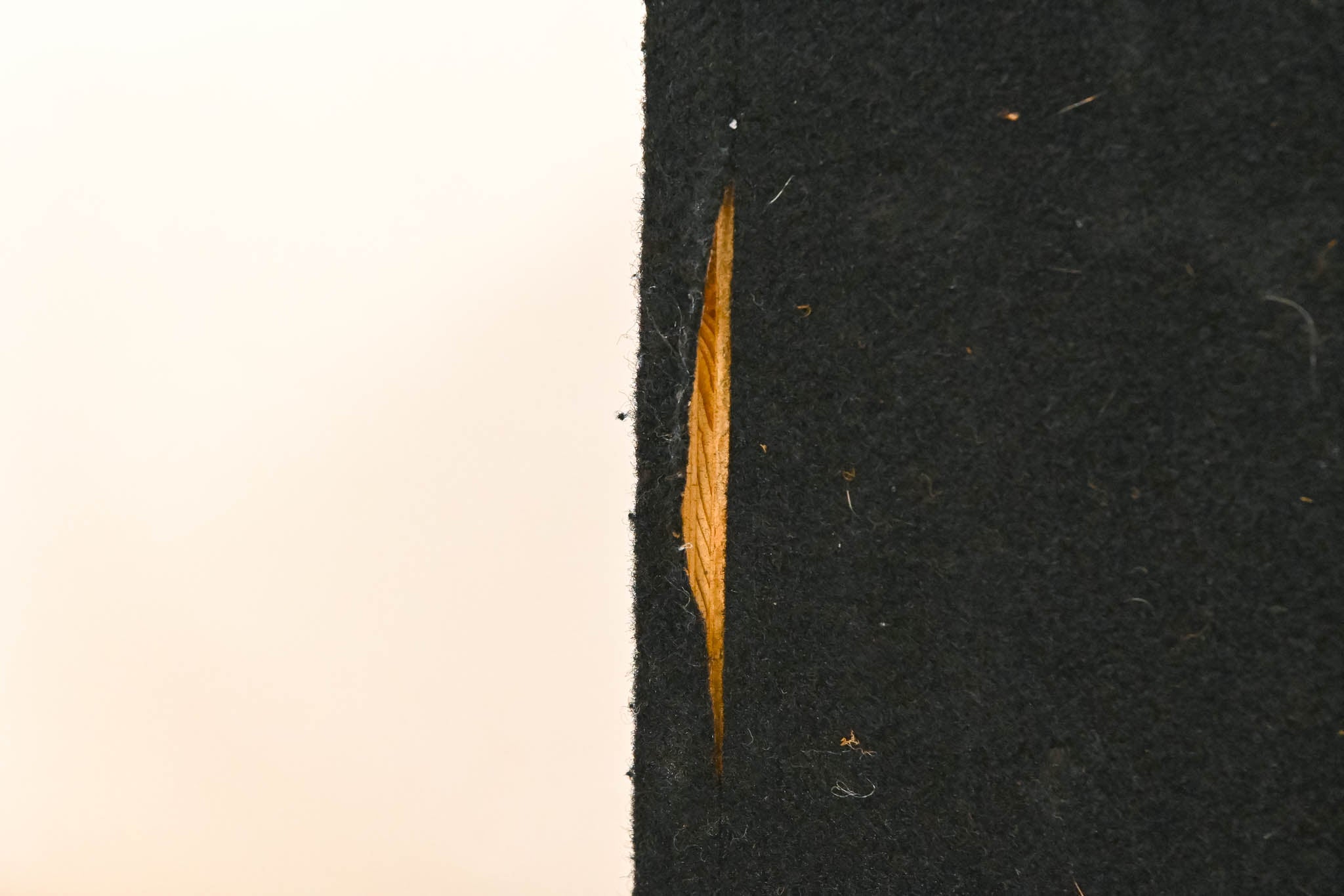 Fender BXR 115B Cab 1x15" 150 Watt Bass Cabinet