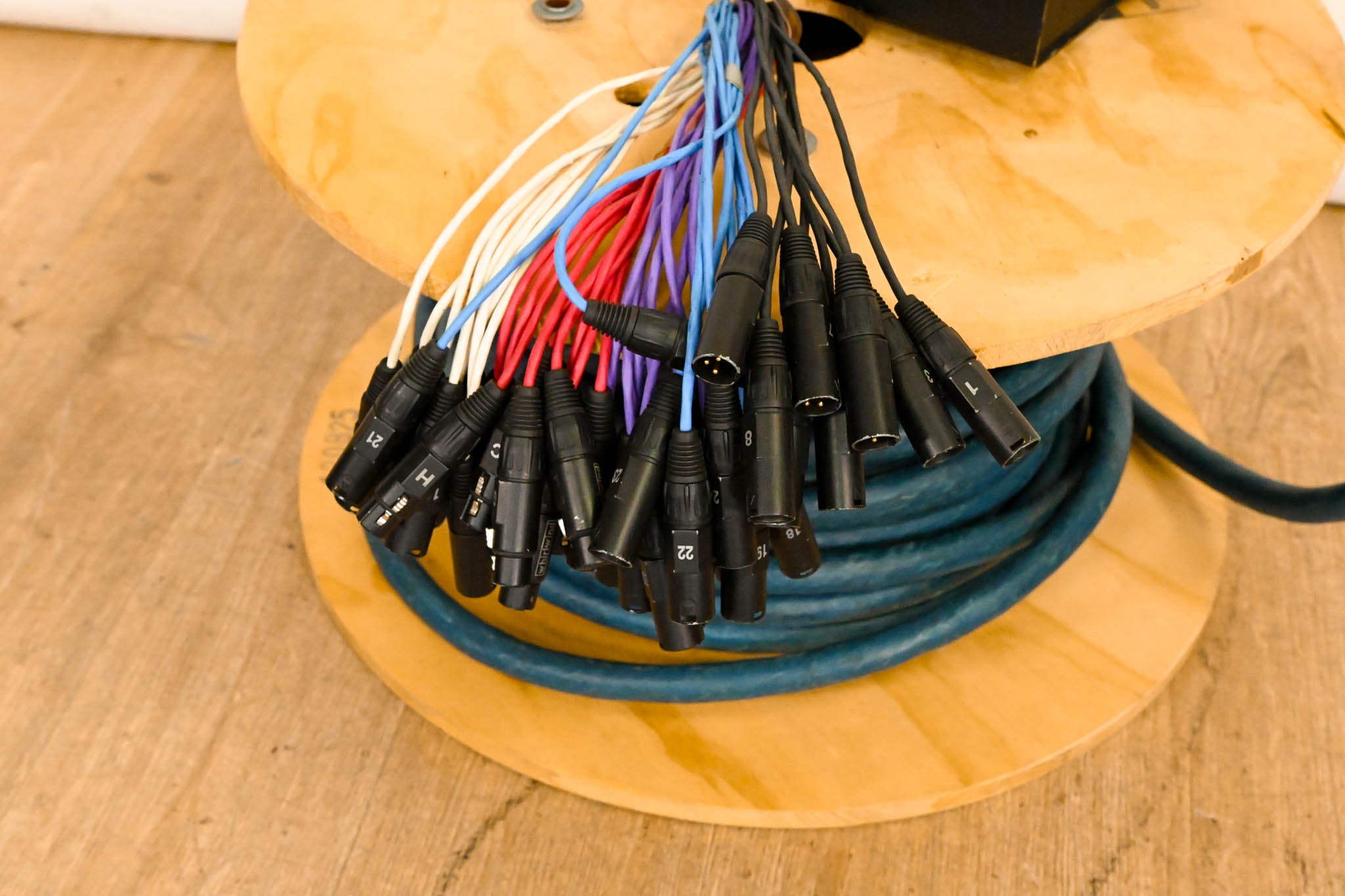 Whirlwind 32x10 XLR Stage Snake - 100ft