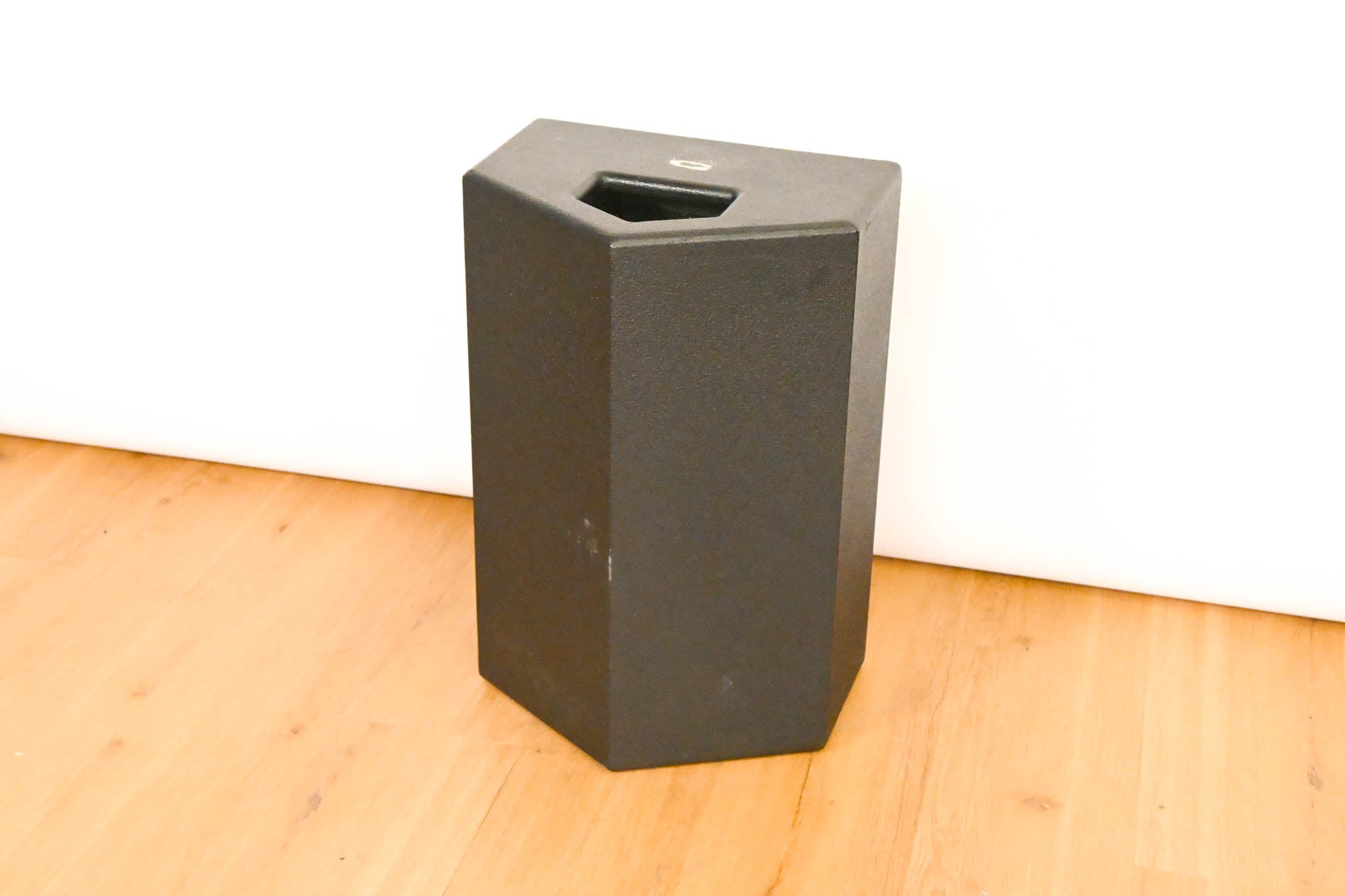 JBL TTM129 Ultra-Compact Passive Stage Monitor