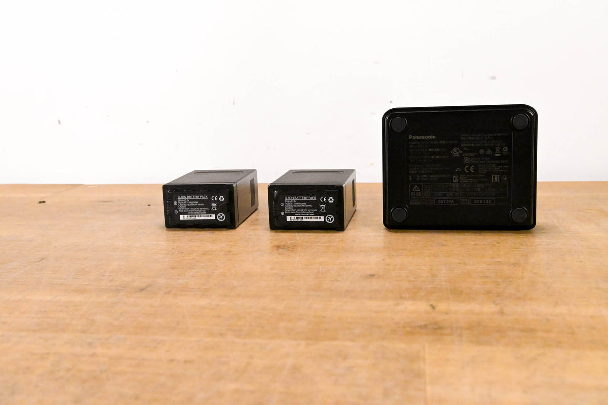 Panasonic AG-BRD50 Dual Battery Charger with Batteries (NO POWER SUPPLY)
