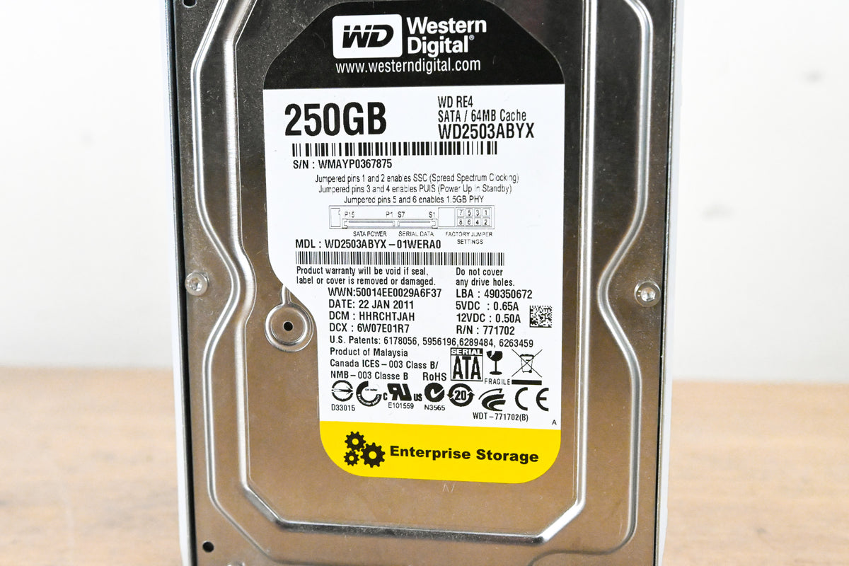 Western Digital WD2503ABYX 250 GB 3.5" Hard Drive w/ Trays (PACK OF 3)