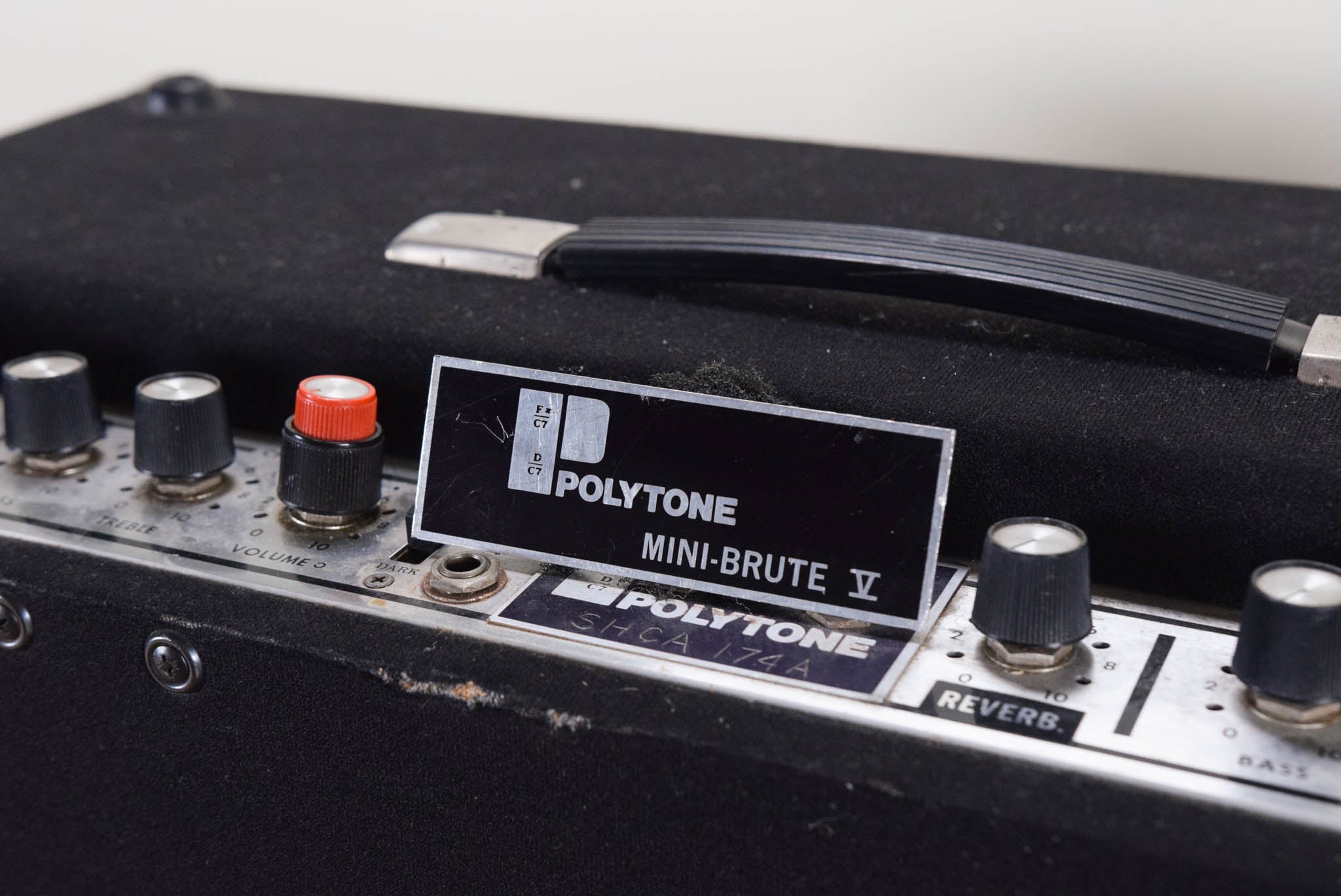 Polytone Mini-Brute V 2 x 10