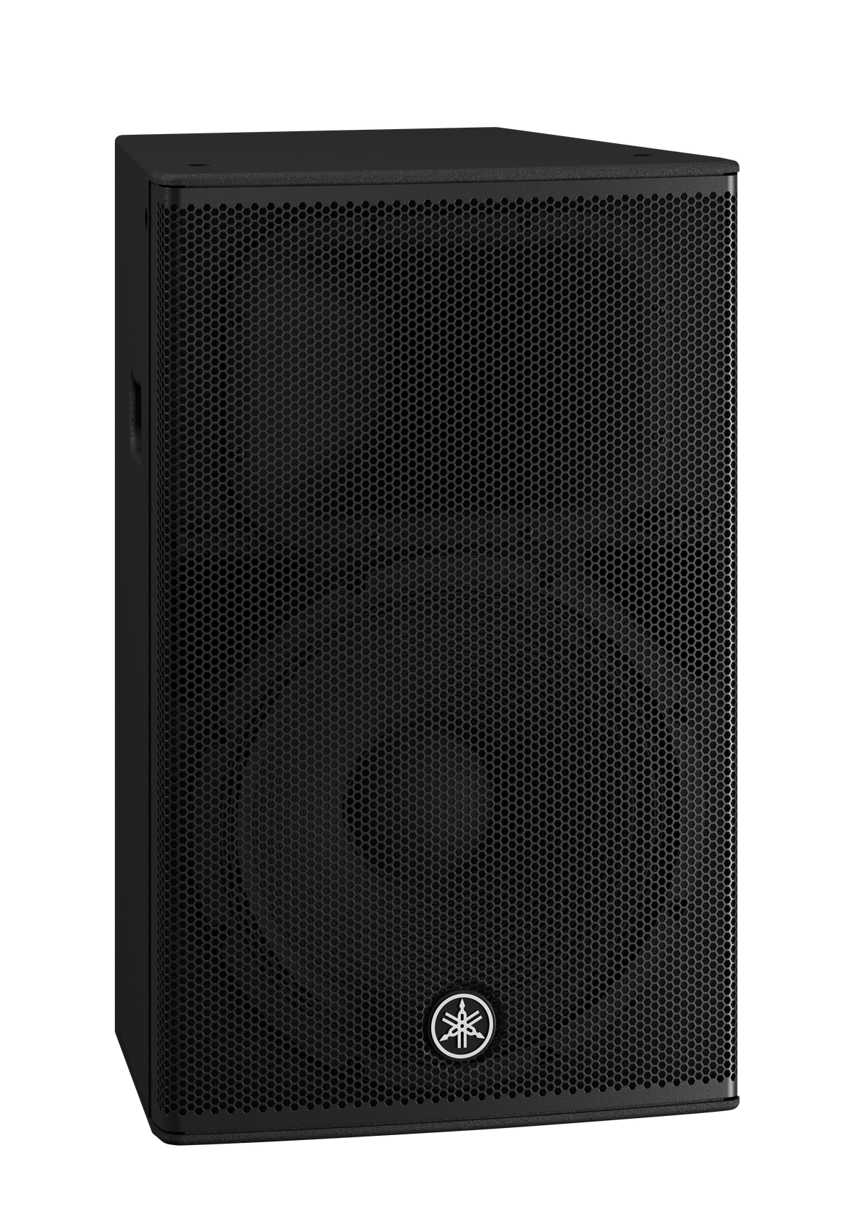 Full-range loudspeaker 90 x 60 black finish