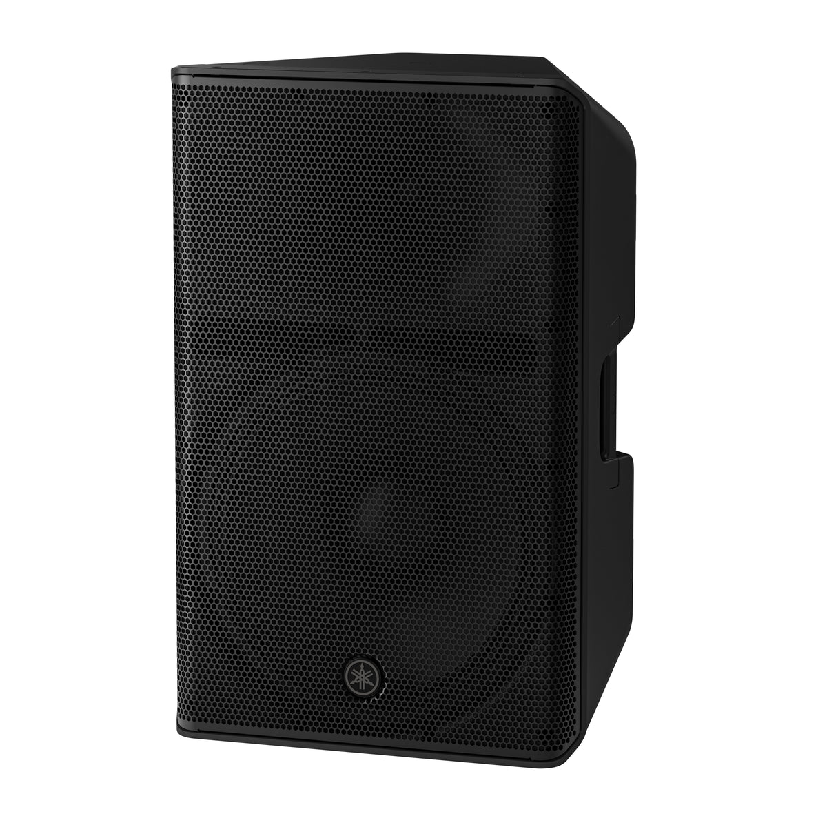Powered 15 inch full range loudspeaker black plastic ABS