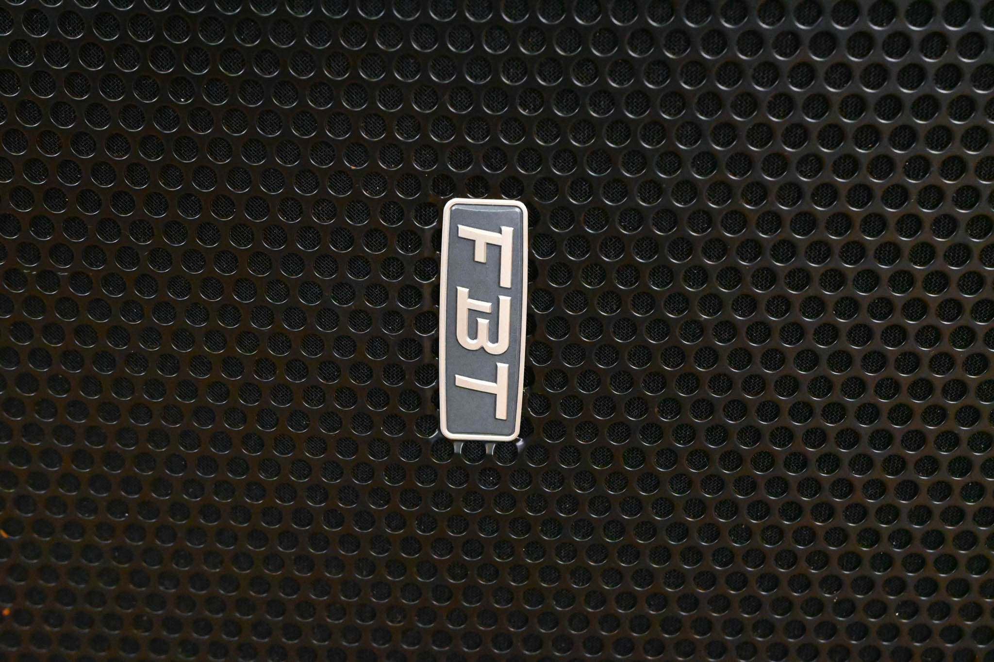 FBT MUSE 210LAV 2-Way Bass-Reflex Line Array System (PAIR)