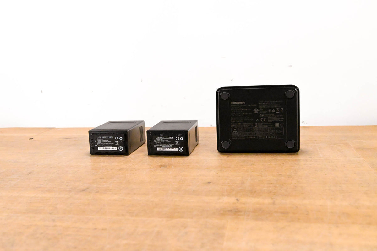 Panasonic AG-BRD50 Dual Battery Charger with Batteries (NO POWER SUPPLY)